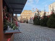 Opole przygotowane do świąt - 8738_jarmark_24opole_0015.jpg