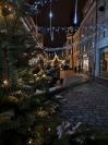 Trwa Jarmark Bożonarodzeniowy w Opolu - 8742_foto_24opole_0008.jpg