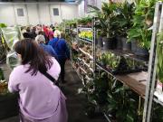 Festiwal Roślin w Toyta Park Opole