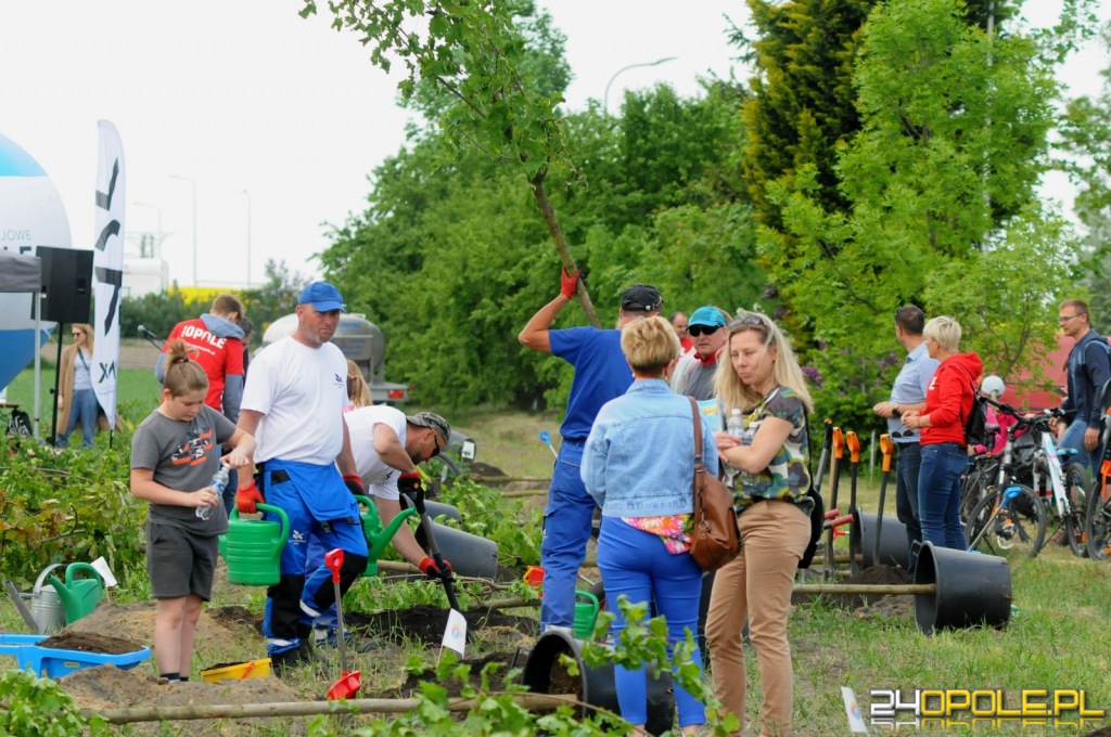 24opole.pl