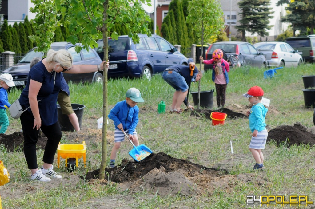 24opole.pl