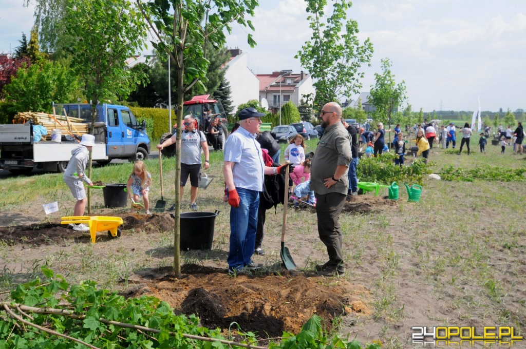 24opole.pl