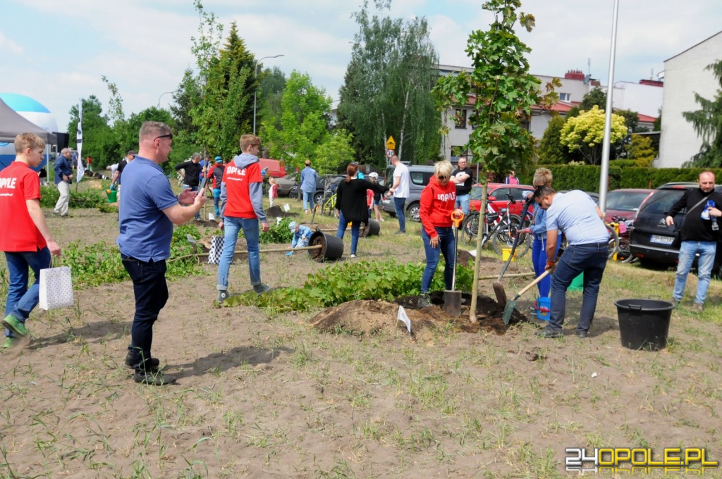 24opole.pl