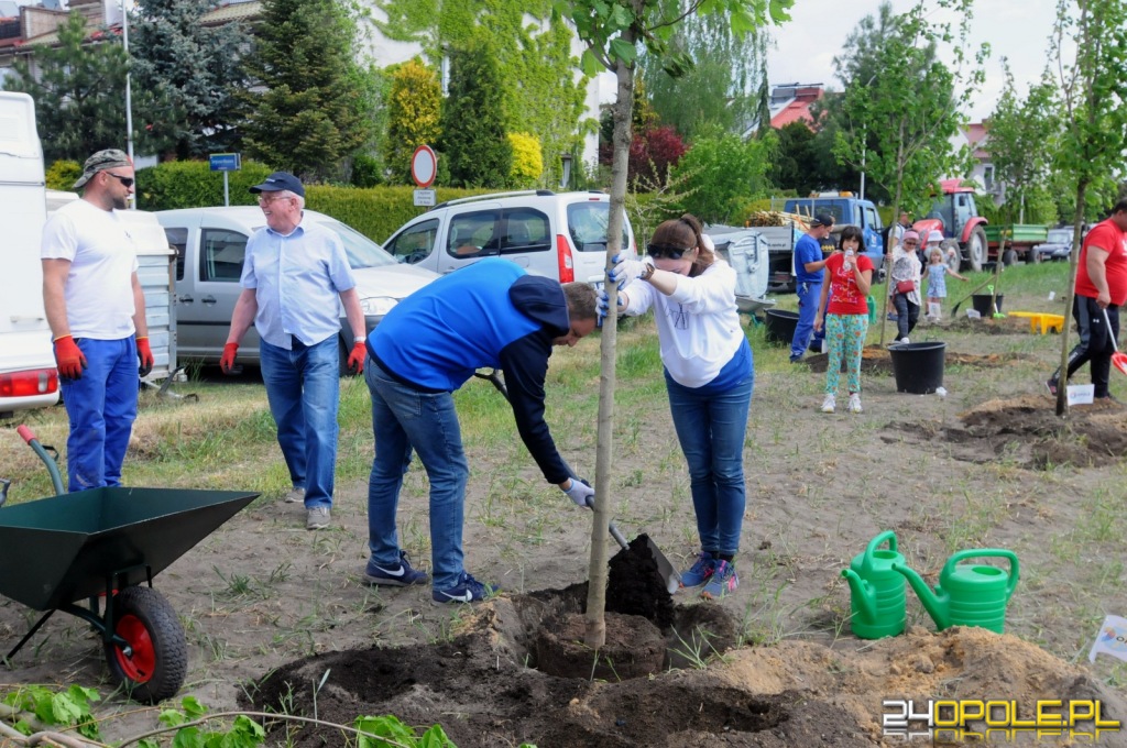 24opole.pl