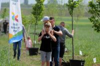 Akcja Sadzimy Drzewa w Opolu - Kolonia Gosławicka - 8828_foto_24opole_0114.jpg