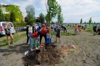 Akcja Sadzimy Drzewa w Opolu - Kolonia Gosławicka - 8828_foto_24opole_0141.jpg