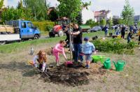 Akcja Sadzimy Drzewa w Opolu - Kolonia Gosławicka - 8828_foto_24opole_0146.jpg