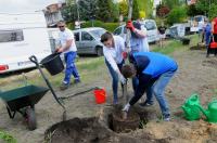 Akcja Sadzimy Drzewa w Opolu - Kolonia Gosławicka - 8828_foto_24opole_0189.jpg