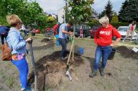 Akcja Sadzimy Drzewa w Opolu - Kolonia Gosławicka - 8828_foto_24opole_0193.jpg