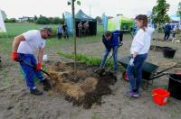 Akcja Sadzimy Drzewa w Opolu - Kolonia Gosławicka - 8828_foto_24opole_0200.jpg
