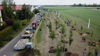 Akcja Sadzimy Drzewa w Opolu - Kolonia Gosławicka - 8828_foto_24opole_0230.jpg