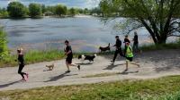 Rodzinny Dogtrekking 2022 - 8846_foto_24opole_0015.jpg