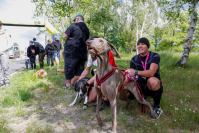 Rodzinny Dogtrekking 2022 - 8846_foto_24opole_0081.jpg