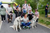 Rodzinny Dogtrekking 2022 - 8846_foto_24opole_0095.jpg