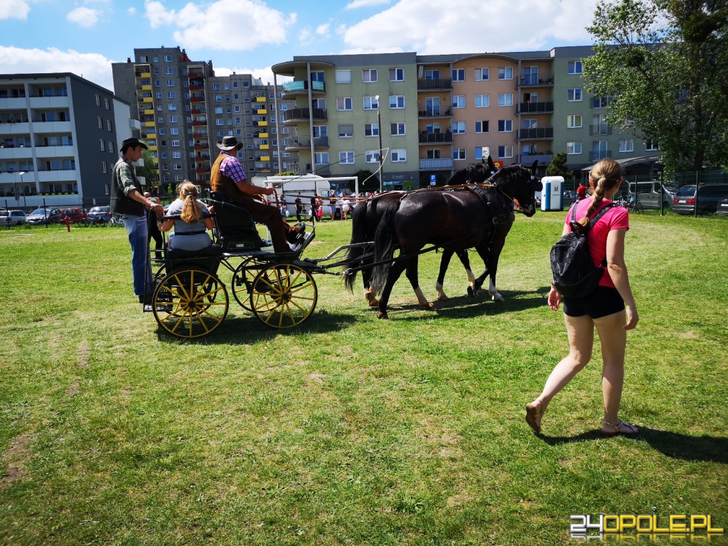 24opole.pl