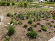 Park Sensoryczny w Opolu