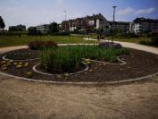 Park Sensoryczny w Opolu - 8884_foto_24opole_0010.jpg