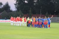 Odra Opole 0:1 Wisła Kraków - 8891_odrawis_u0142a_24opole_0041.jpg