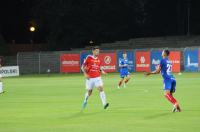 Odra Opole 0:1 Wisła Kraków - 8891_odrawis_u0142a_24opole_0205.jpg