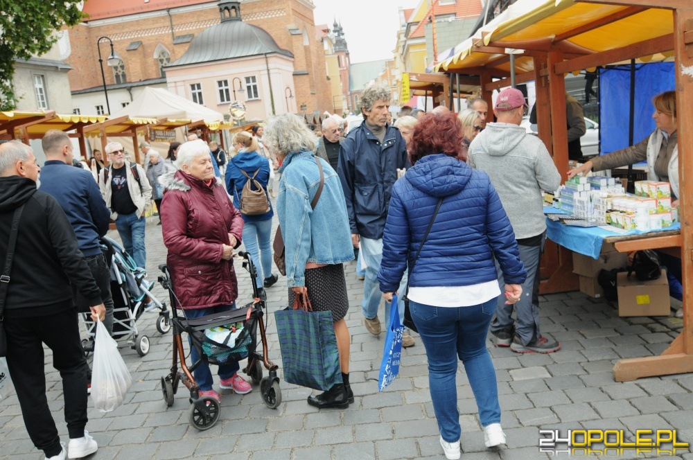 24opole.pl