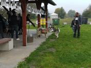 Rodzinny Dogtrekking \