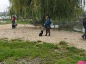 Rodzinny Dogtrekking \