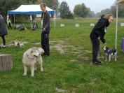 Rodzinny Dogtrekking \