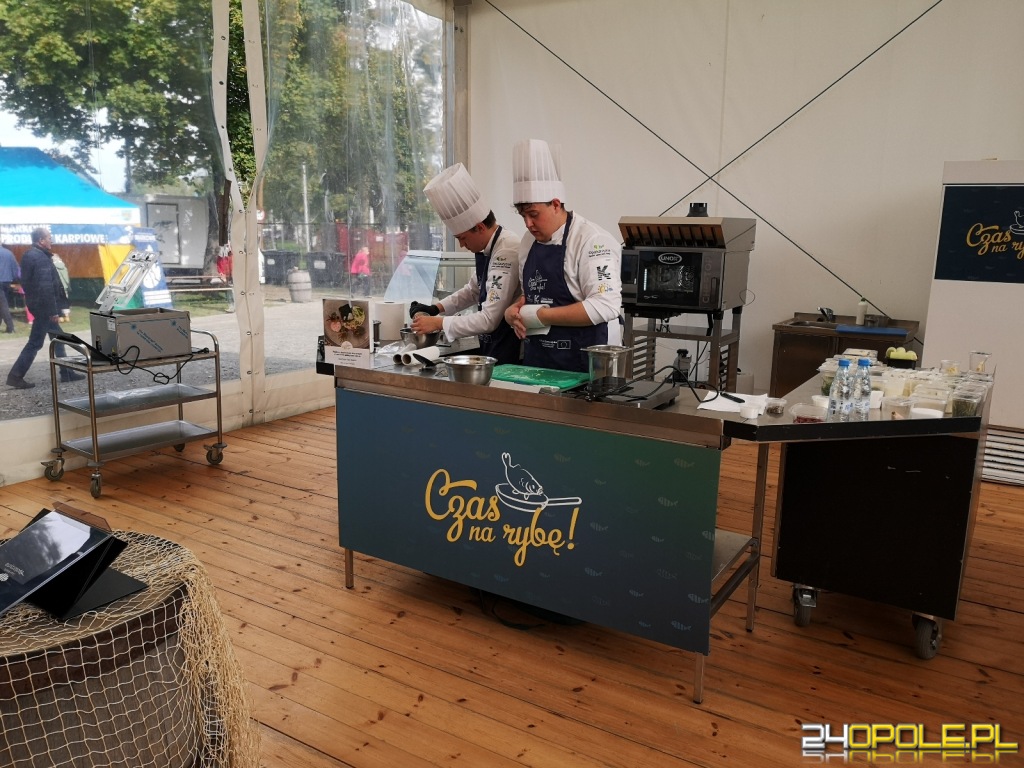 24opole.pl