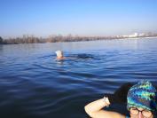 Niedzielne Morsowanie na Kąpielisku Bolko w Opolu - 8950_resize_img_20221120_110325.jpg