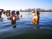 Niedzielne Morsowanie na Kąpielisku Bolko w Opolu - 8950_resize_img_20221120_110637.jpg