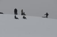 Zimowe szaleństwo na Górce w Parku przy Osiedlu AK - 8963_foto_24opole_0057.jpg