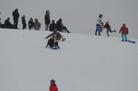 Zimowe szaleństwo na Górce w Parku przy Osiedlu AK - 8963_foto_24opole_0110.jpg