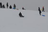 Zimowe szaleństwo na Górce w Parku przy Osiedlu AK - 8963_foto_24opole_0122.jpg