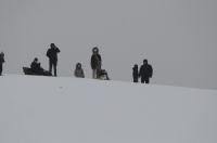 Zimowe szaleństwo na Górce w Parku przy Osiedlu AK - 8963_foto_24opole_0134.jpg