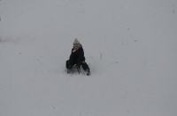Zimowe szaleństwo na Górce w Parku przy Osiedlu AK - 8963_foto_24opole_0135.jpg