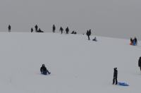 Zimowe szaleństwo na Górce w Parku przy Osiedlu AK - 8963_foto_24opole_0151.jpg