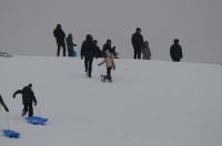 Zimowe szaleństwo na Górce w Parku przy Osiedlu AK - 8963_foto_24opole_0167.jpg