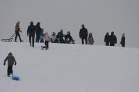 Zimowe szaleństwo na Górce w Parku przy Osiedlu AK - 8963_foto_24opole_0169.jpg