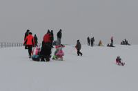 Zimowe szaleństwo na Górce w Parku przy Osiedlu AK - 8963_foto_24opole_0172.jpg