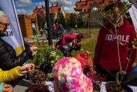 Tężnia na Malince w Opolu - Otwarta - 9053_foto_24opole_0025.jpg