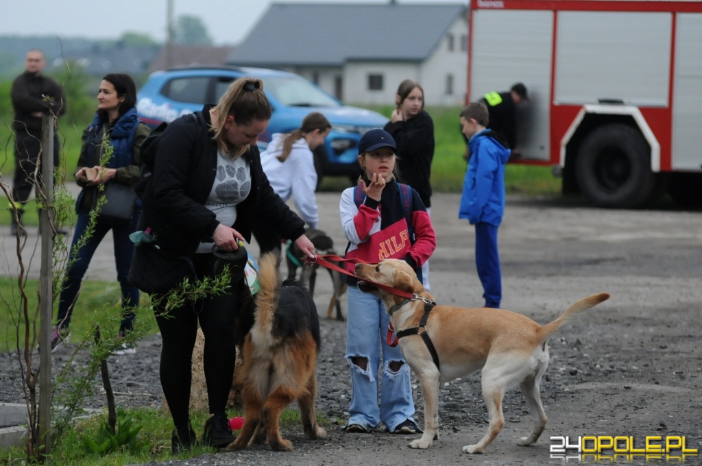 24opole.pl