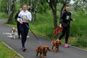 II Rodzinny Dogtrekking