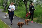 II Rodzinny Dogtrekking