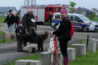 II Rodzinny Dogtrekking - 9071_foto_24opole_0003.jpg