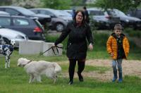 II Rodzinny Dogtrekking - 9071_foto_24opole_0004.jpg