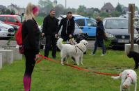 II Rodzinny Dogtrekking - 9071_foto_24opole_0020.jpg