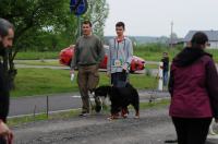 II Rodzinny Dogtrekking - 9071_foto_24opole_0027.jpg