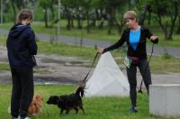 II Rodzinny Dogtrekking - 9071_foto_24opole_0033.jpg