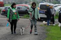 II Rodzinny Dogtrekking - 9071_foto_24opole_0037.jpg