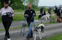 II Rodzinny Dogtrekking - 9071_foto_24opole_0044.jpg